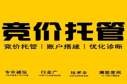 某某sem代运营推广公司助力中小企业网络营销